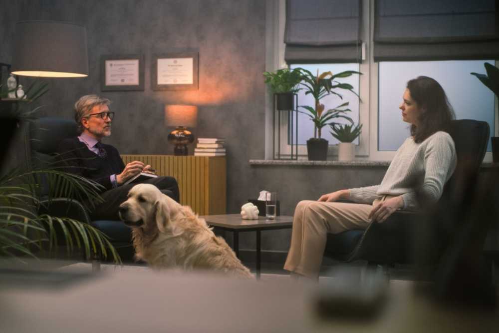 rehabs that are pet friendly